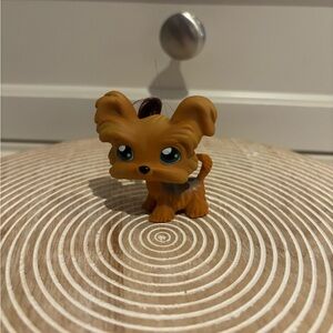 Littlest Pet Shop Shi Tzu Dog